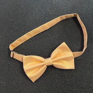 Shimmery gold bow tie!